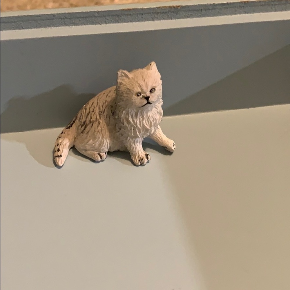Cat 🐈 Figuring - Picture 4 of 4